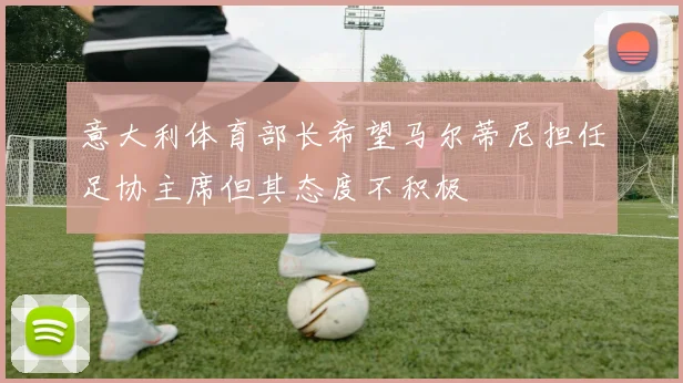 意大利体育部长希望马尔蒂尼担任足协主席但其态度不积极