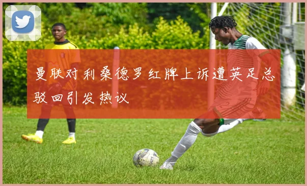 曼联对利桑德罗红牌上诉遭英足总驳回引发热议
