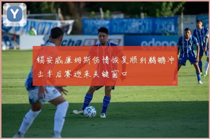 锡安威廉姆斯伤情恢复顺利鹈鹕冲击季后赛迎来关键窗口